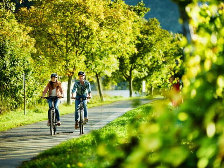 Cochem: Bike and Boat Tour with Picnic and Wine Tasting - Practical Details & Considerations