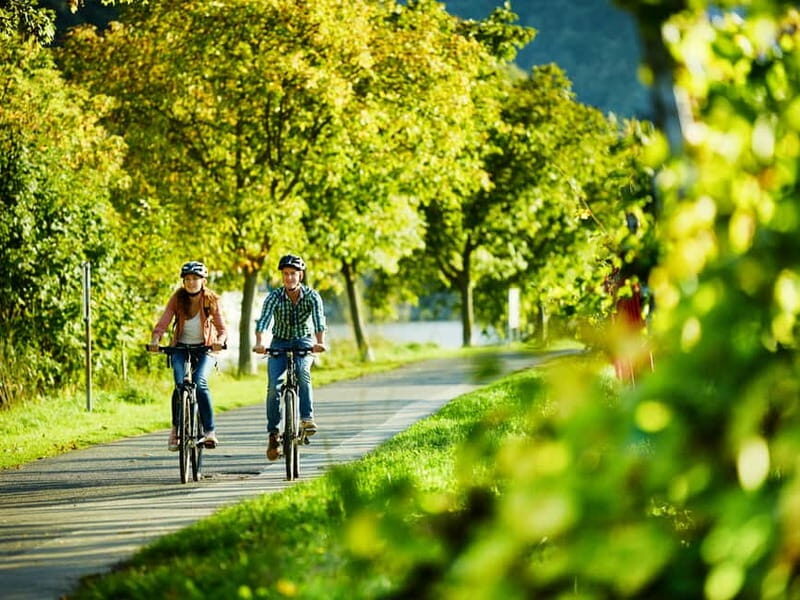 Cochem: Bike and Boat Tour with Picnic and Wine Tasting - Practical Details & Considerations