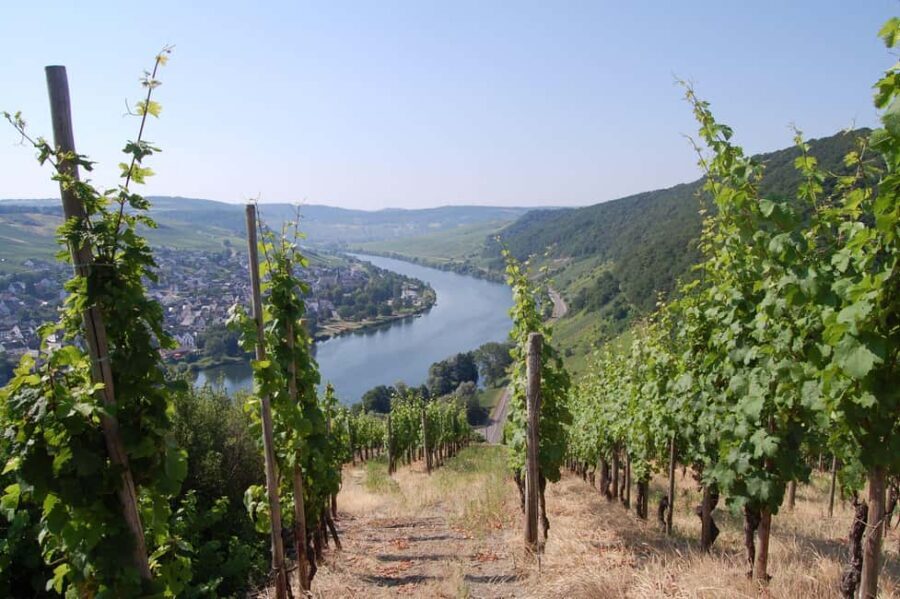 Cochem, Moselle: Wine experience hike with boat trip - Why This Tour Works