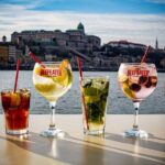 Cocktail Cruise Downtown Budapest - An In-Depth Look at the Cocktail Cruise Experience