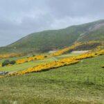 Codebreakers' Choice: Rosslyn Chapel & Da Vinci Code - What to Expect from the Transportation and Service