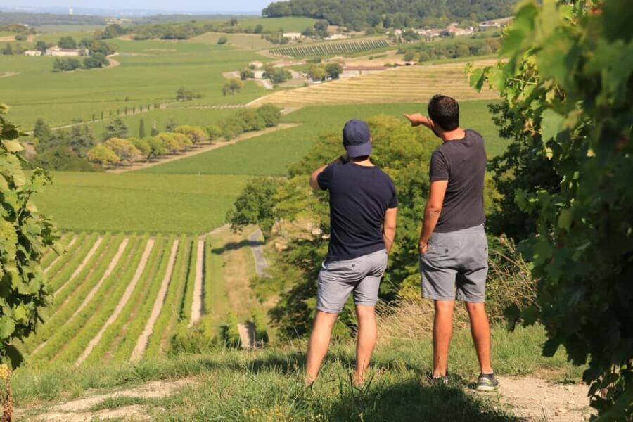 Cognac: 4x4 vineyard tour and cocktail - What Sets This Tour Apart?