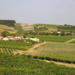 Cognac Private Guided Walking Tour - Value for Money and Practical Considerations