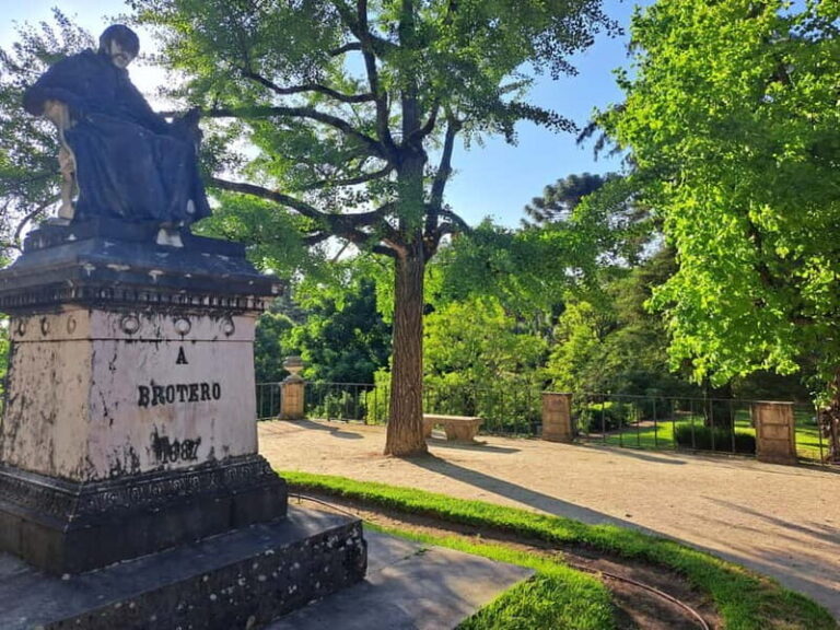Coimbra Botanical Garden Tour: Storytelling Through Nature - In-Depth Breakdown of the Itinerary