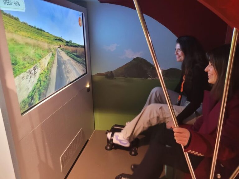 Colmar: Alsace Wine Museum Entrance Ticket - Who Should Consider Visiting?