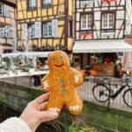 Colmar Tour: 2-Hour Walking Tour in Spanish with a Local Guide - Key Points