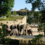Cologne: Cologne Zoo and Aquarium Entry Ticket - Practical Details and Tips