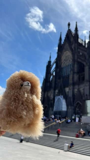 Cologne & Düsseldorf: Chocolate and Beer Private Guided Tour - Practicalities and Logistics