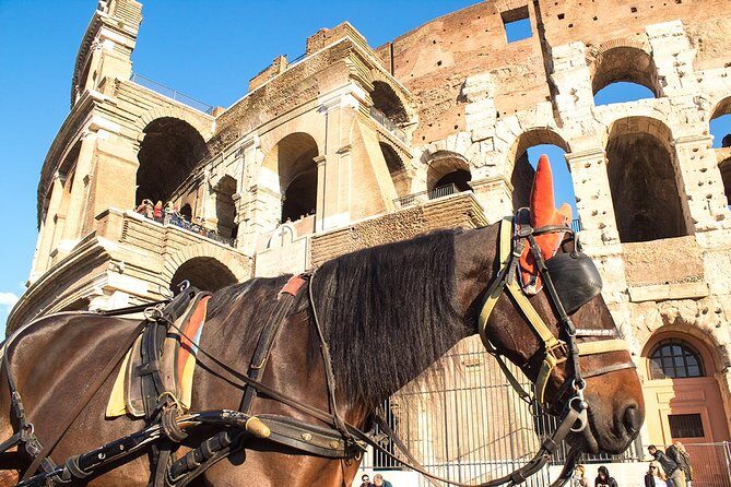 Colosseum Arena floor & Ancient Rome Tour for kids and Families - Practical Details and Tips