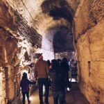 Colosseum Underground, Roman Forum & Cesar Palace Special Access - Palatine Hill: From Rome’s Myth to Imperial Grandeur