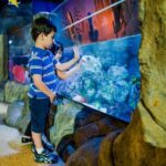 Combi Ticket: LEGOLAND Discovery Centre & SEA LIFE Oberhausen - The Sum Up: Who Will Love This Experience?