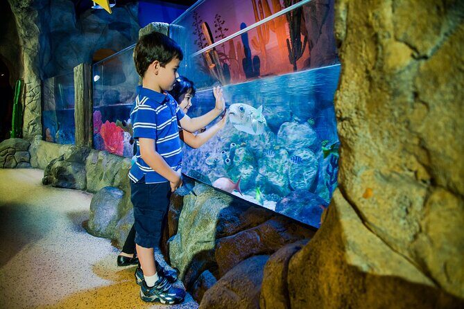 Combi Ticket: LEGOLAND Discovery Centre & SEA LIFE Oberhausen - The Sum Up: Who Will Love This Experience?