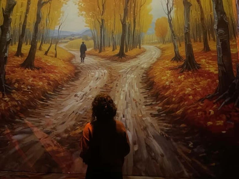 Combined ticket: Digital Exhibition & Museum of Illusions - The Museum of Illusions: Optical Delights and Brain Teasers