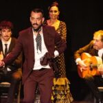 Combo: Hop on hop off + Flamenco Show & Walking tours - What to Expect Day of the Tour