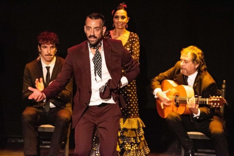 Combo: Hop on hop off + Flamenco Show & Walking tours - What to Expect Day of the Tour