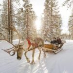 COMBO Private tour HUSKY and REINDEER Park by VIP car with guide - Final Thoughts
