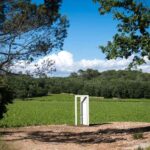 Commanderie de Peyrassol: Guided tour of the sculpture park by golf cart - Who Should Consider This Tour?