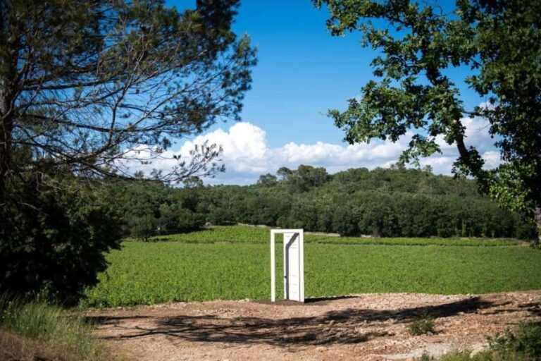 Commanderie de Peyrassol: Guided tour of the sculpture park by golf cart - Who Should Consider This Tour?