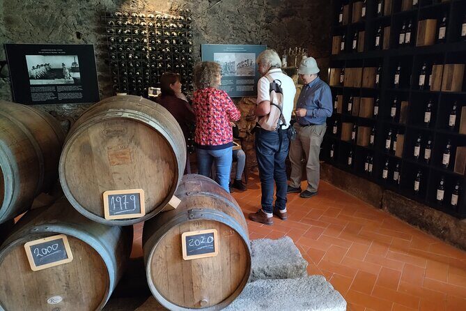 Complete Private Douro Valley Wine Tour - Who Will Enjoy This Tour?