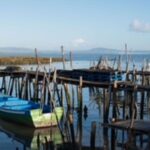 Comporta to Alcacer do Sal boat trip - A Closer Look at the Experience