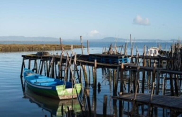 Comporta to Alcacer do Sal boat trip - A Closer Look at the Experience