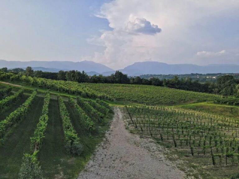 Conegliano: Prosecco Hills and Vineyards tour - Who Will Love This Tour?