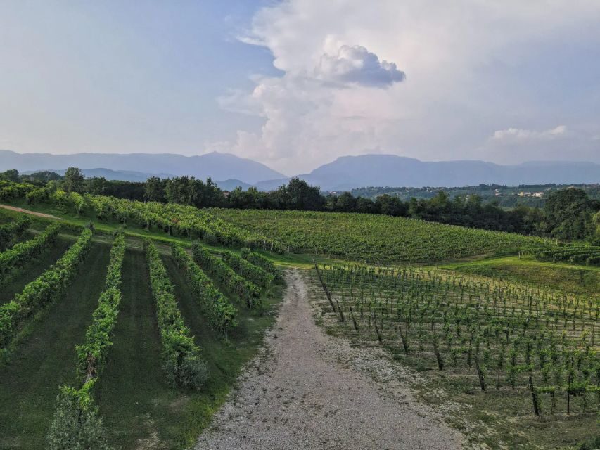 Conegliano: Prosecco Hills and Vineyards tour - Who Will Love This Tour?