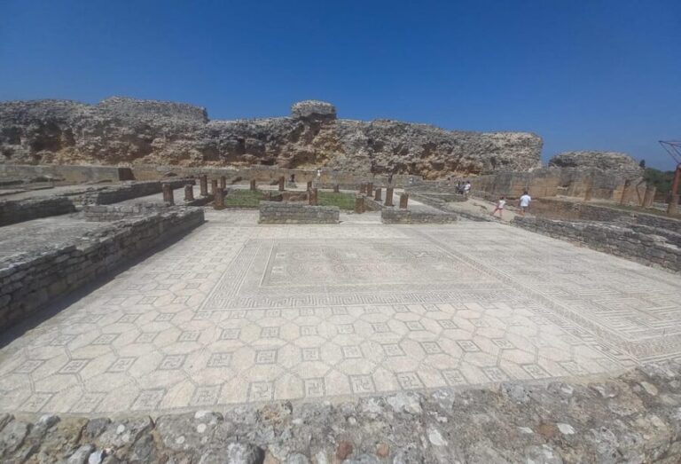 Conimbriga walking tour: the fascinating roman city - The museum: a treasure trove of artifacts