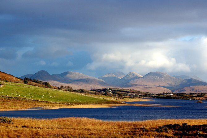 Connemara & Connemara National Park day tour from Galway. Guided. - Exploring the Experience: What to Expect
