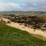 Connemara & Inishturk Island wildlife watching cruise. Private guided Full-day - The Value of a Private Tour