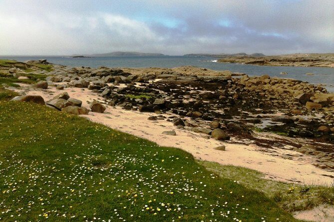 Connemara & Inishturk Island wildlife watching cruise. Private guided Full-day - The Value of a Private Tour