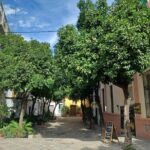 Contrasts of Seville - What Makes This Tour Stand Out