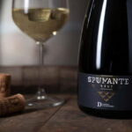 Conversano: wine tasting tour in the winery - Who Will Love This Experience?