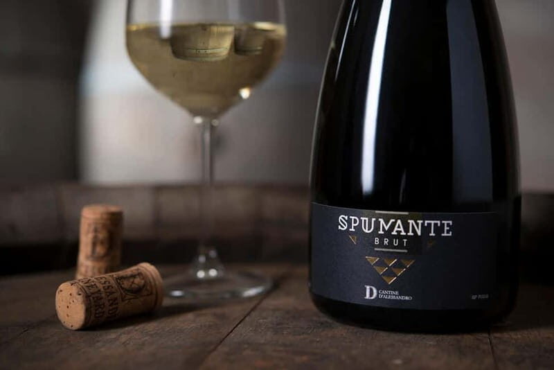 Conversano: wine tasting tour in the winery - Who Will Love This Experience?