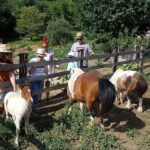 Cook like a local Greek Cooking lesson in Mt Pelion Greece - What to Expect From the Itinerary
