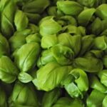 Cooking Class Pesto Sauce - An In-Depth Look at the Pesto Making Experience