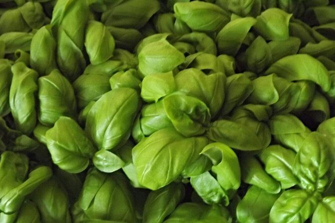 Cooking Class Pesto Sauce - An In-Depth Look at the Pesto Making Experience