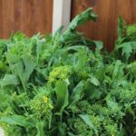 COOKING LESSON IN MASSERIA with transfer from Alberobello - Frequently Asked Questions