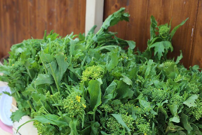 COOKING LESSON IN MASSERIA with transfer from Alberobello - Frequently Asked Questions