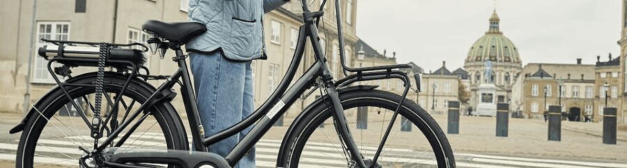 Copenhagen: 3 Hour Extended Grand E-Bike Guided Tour - Final Thoughts: Who Is This Tour Best For?