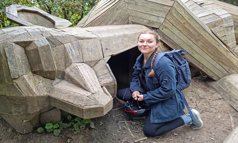 Copenhagen: Private Forgotten Giants E-Bike Treasure Hunt - Why This Tour Offers Great Value