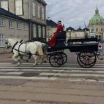 Copenhagen Walking Tour with Food Testing (smorrebrod dish & snap) - Practical Tips for Your Tour