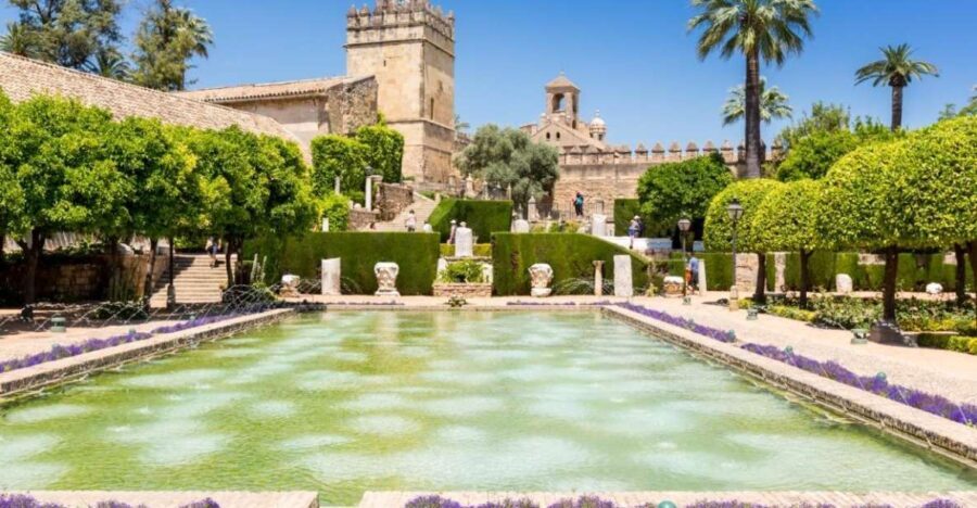 Cordoba: Alcazar of Christian Monarchs 1Hour Guided Tour - The Guide: Knowledge and Personalization