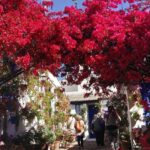 Cordoba Courtyards by Bike, Electric Bike - Who Will Love This Tour?
