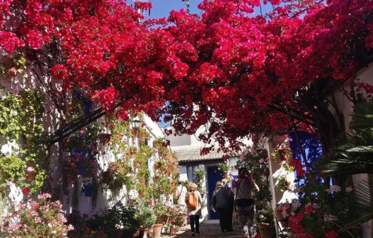 Cordoba Courtyards by Bike, Electric Bike - Who Will Love This Tour?