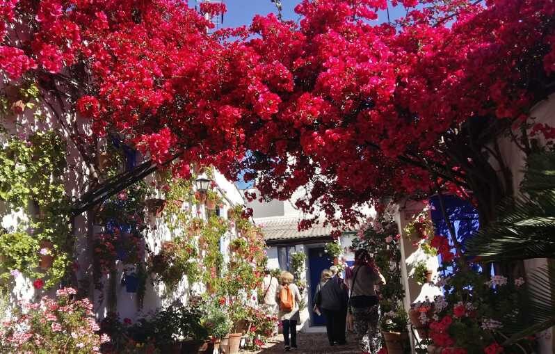Cordoba Courtyards by Bike, Electric Bike - Who Will Love This Tour?