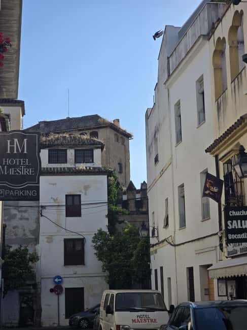 Córdoba: Entrance Ticket for the Fernandine Churches Route. - The Value of Self-Guided Exploration