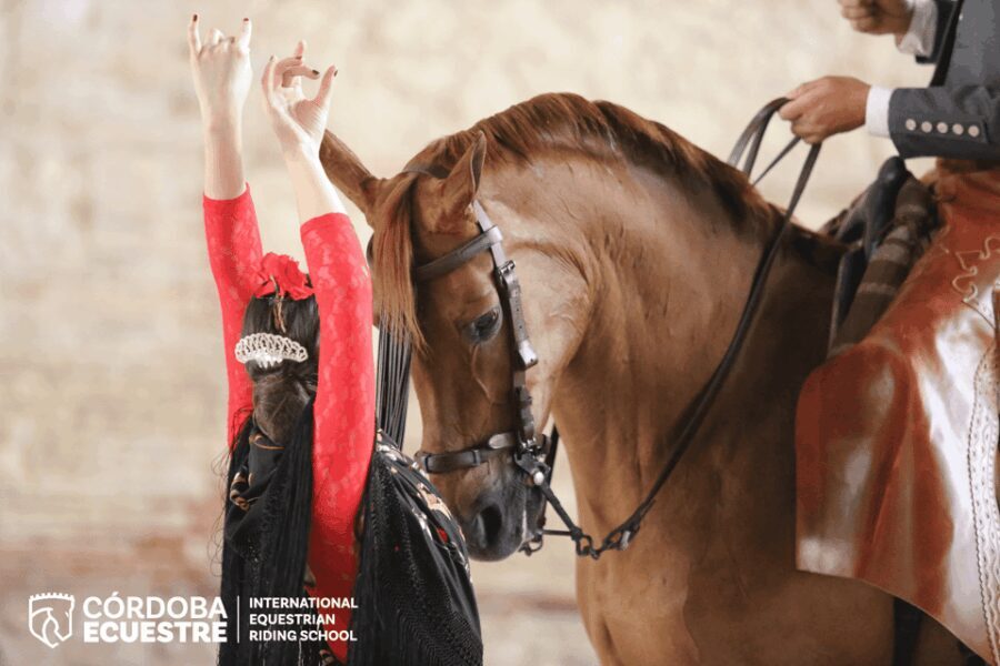 Cordoba: Equestrian Show General Entry - Authenticity and Review Highlights