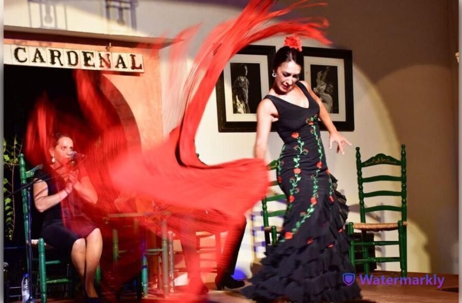 Córdoba: Flamenco Show Ticket with Drinks - What to Expect from the Flamenco Experience