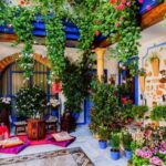 Cordoba Guided Day Trip from Seville - Analyzing the Value